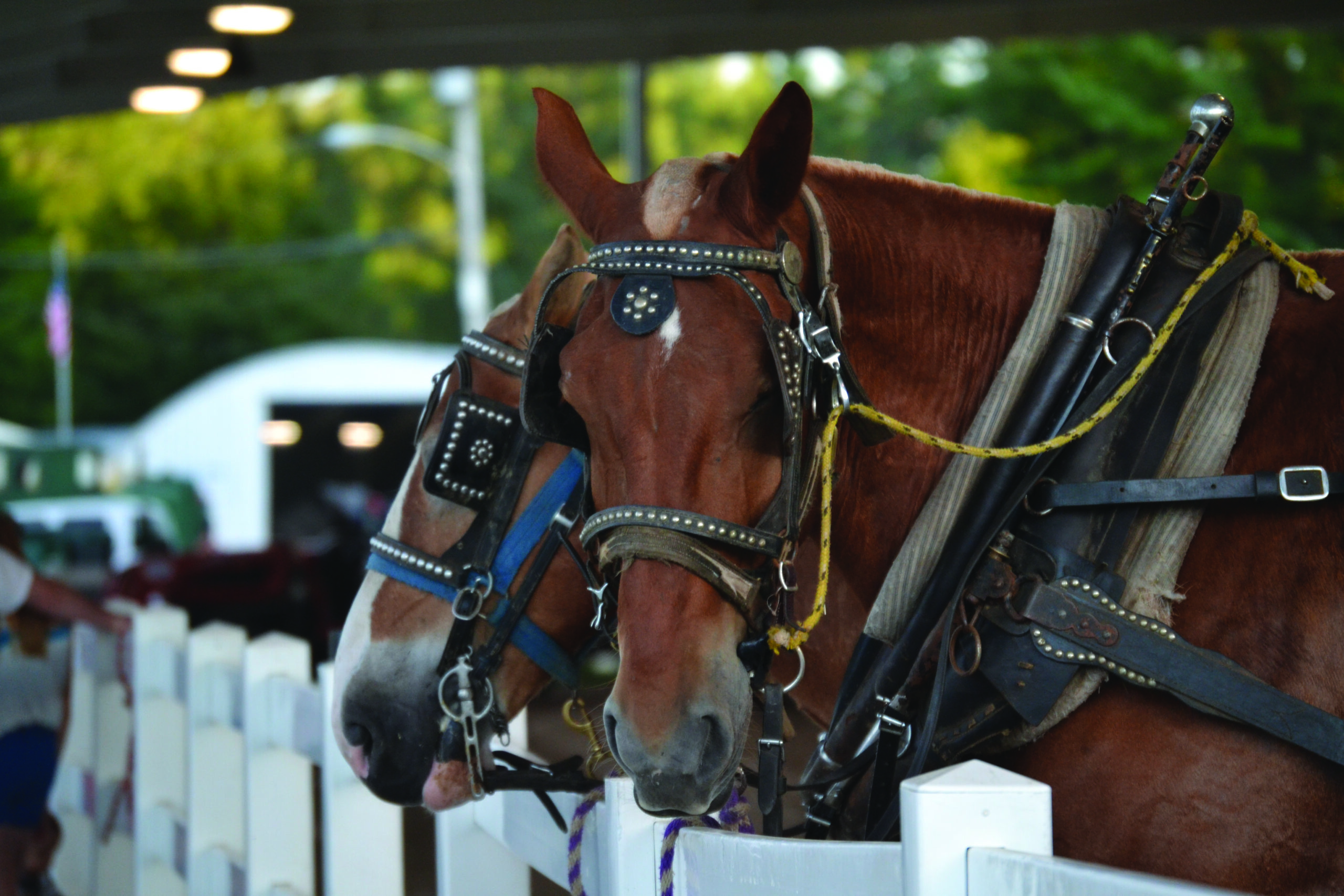 Skowhegan State Fair