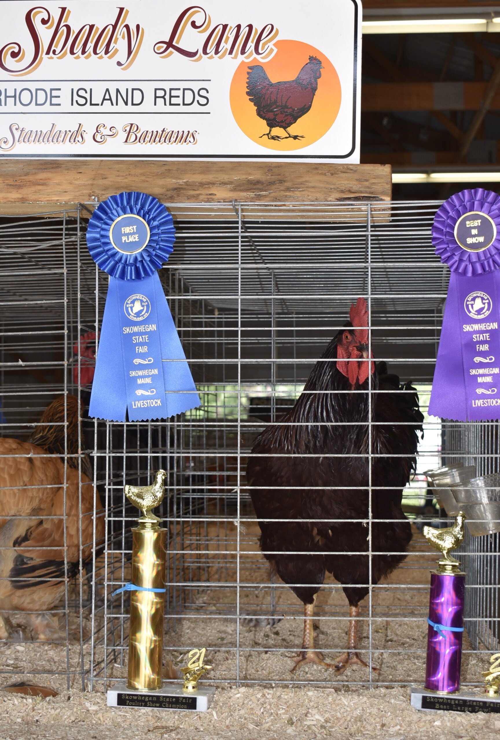 Poultry Show Barn